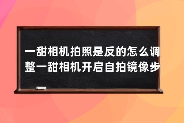 一甜相機(jī)拍照是反的怎么調(diào)整?一甜相機(jī)開(kāi)啟自拍鏡像步驟 