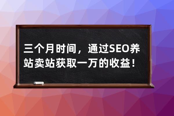 三個(gè)月時(shí)間，通過(guò)SEO養(yǎng)站賣站獲取一萬(wàn)+的收益！