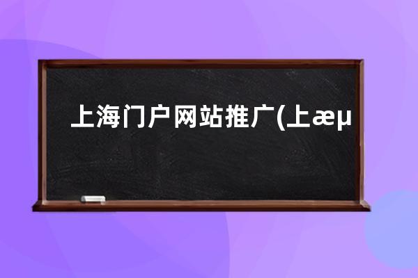 上海門戶網站推廣(上海網站建設推廣服務)
