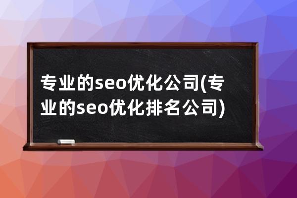 專業的seo優化公司(專業的seo優化排名公司)