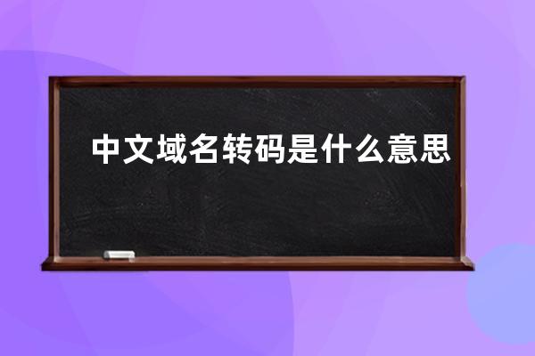 中文域名轉碼是什么意思?