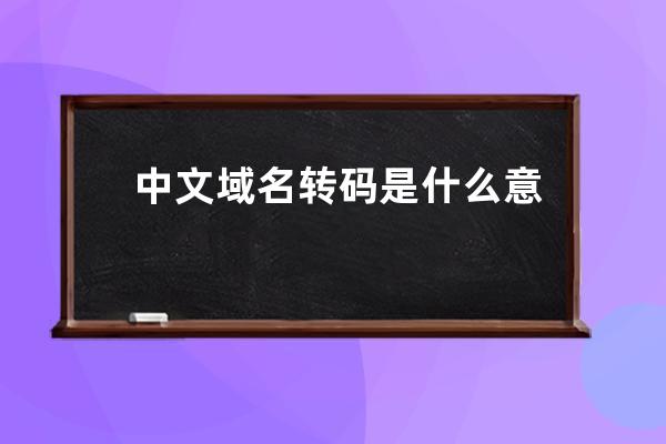中文域名轉碼是什么意思?