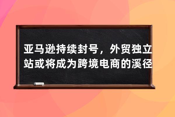 亞馬遜持續封號，外貿獨立站或將成為跨境電商的溪徑