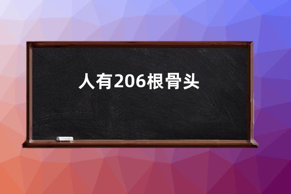  人有206根骨頭