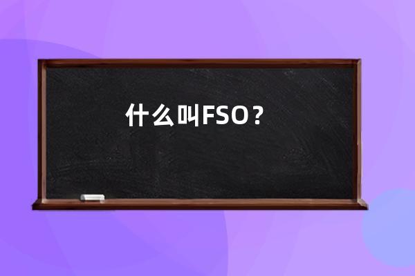 什么叫FSO？