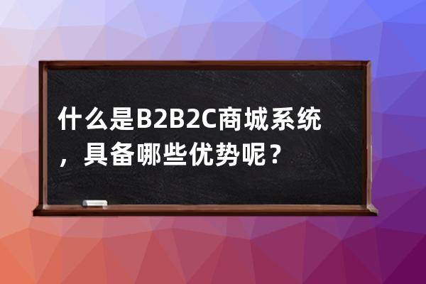 什么是B2B2C商城系統，具備哪些優勢呢？ 