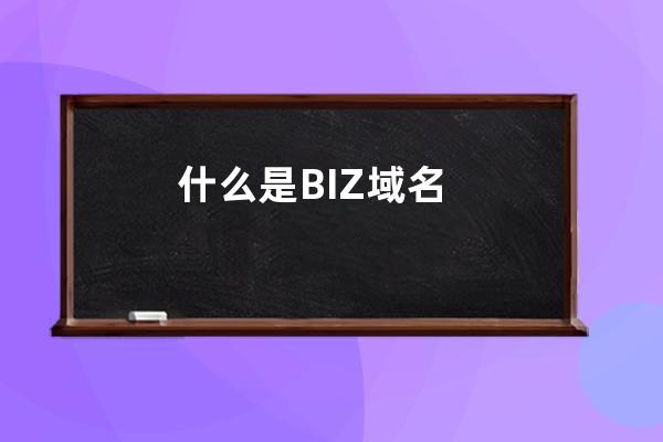 什么是.BIZ域名
