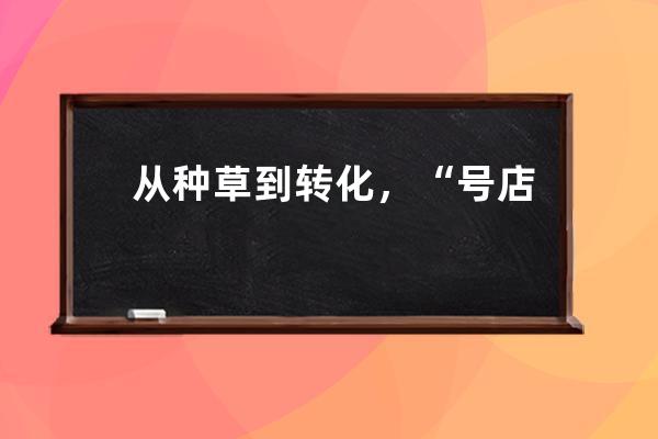 從種草到轉化，“號店一體”能否承載抖音電商野心？ 