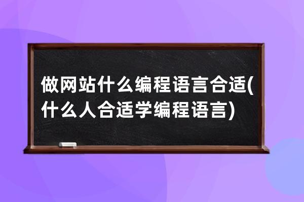 做網站什么編程語言合適(什么人合適學編程語言)