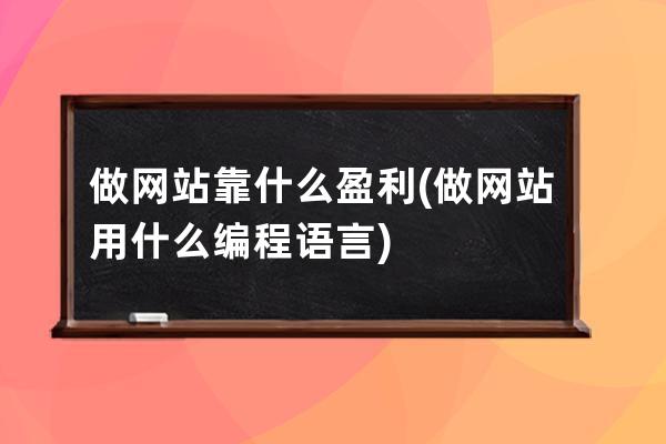 做網站靠什么盈利(做網站用什么編程語言)