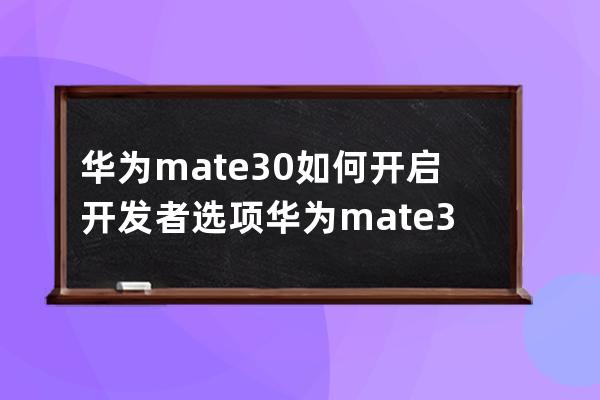 華為mate30如何開啟開發者選項?華為mate30開發者選項開啟教程 