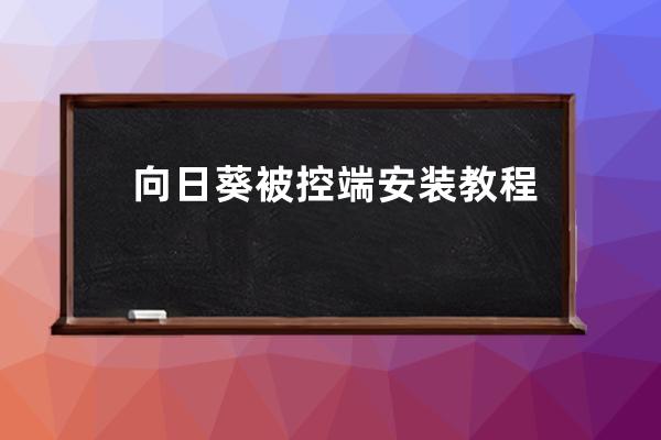 向日葵被控端安裝教程