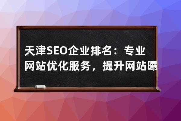 天津SEO企業(yè)排名：專業(yè)網站優(yōu)化服務，提升網站曝光度