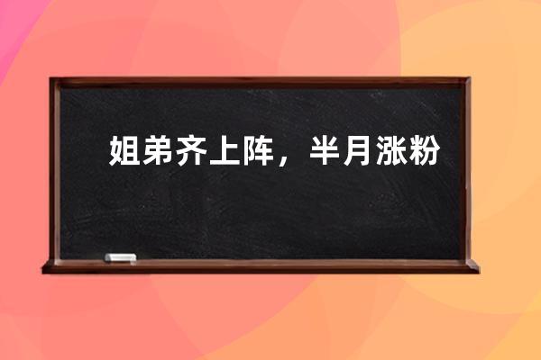 姐弟齊上陣，半月漲粉148萬！這里有四種抖音矩陣玩法_什么是抖音矩陣玩法 