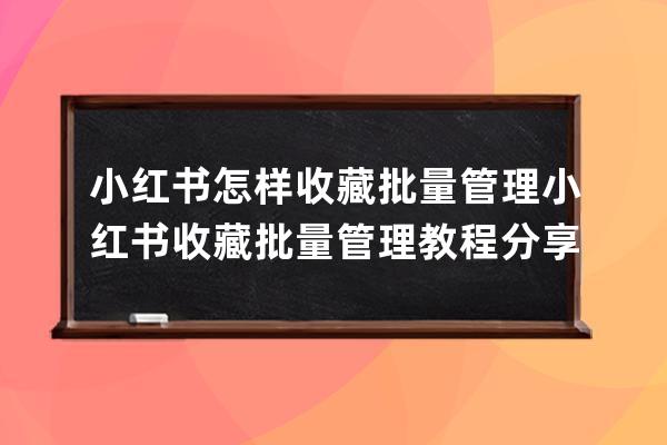 小紅書怎樣收藏批量管理小紅書收藏批量管理教程分享 