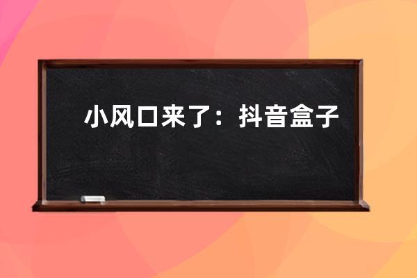 小風(fēng)口來了：抖音盒子上線_抖音直播下個(gè)風(fēng)口是什么 