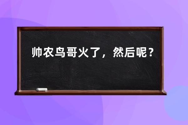 帥農鳥哥火了，然后呢？ 