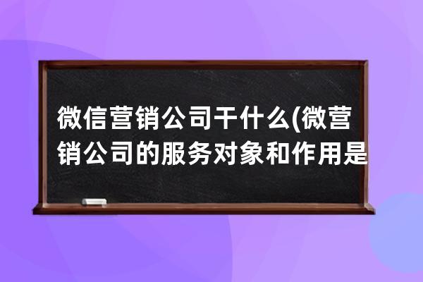 微信營銷公司干什么(微營銷公司的服務對象和作用是什么)