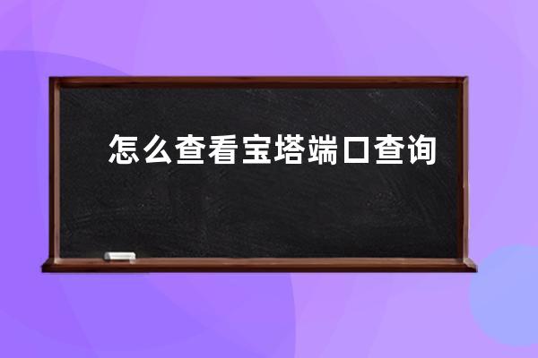 怎么查看寶塔端口 查詢