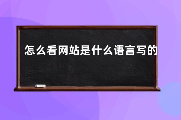 怎么看網站是什么語言寫的