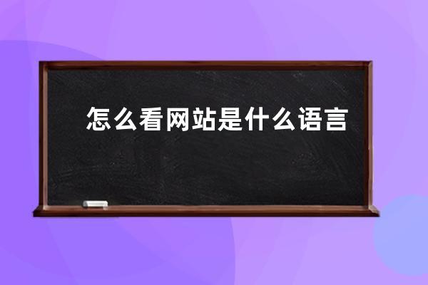 怎么看網站是什么語言寫的
