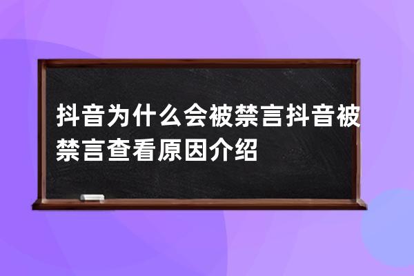 抖音為什么會被禁言抖音被禁言查看原因介紹 