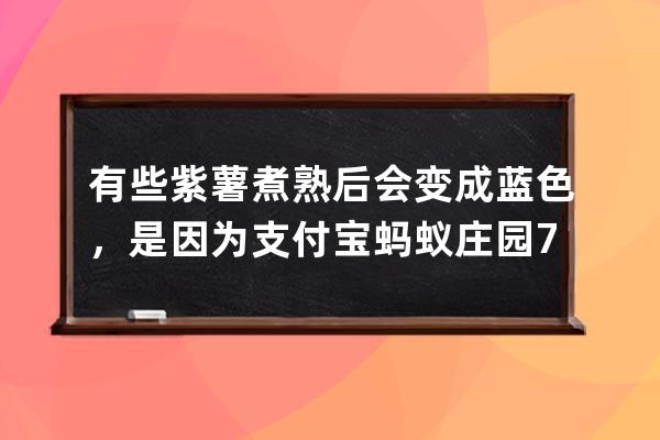 有些紫薯煮熟后會變成藍色，是因為?支付寶螞蟻莊園7月9日答案 