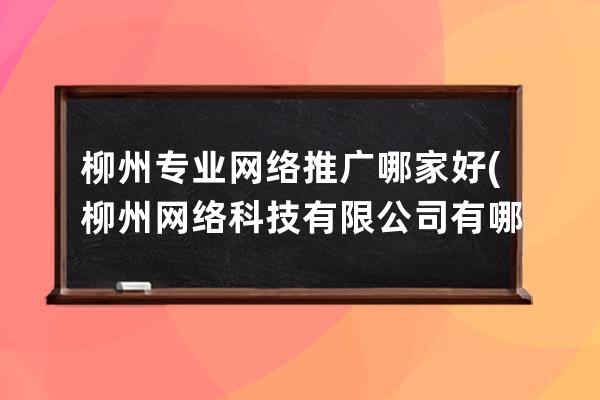 柳州專業網絡推廣哪家好(柳州網絡科技有限公司有哪些)