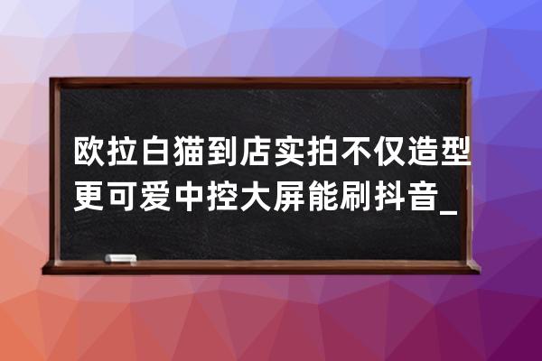 歐拉白貓到店實拍 不僅造型更可愛 中控大屏能刷抖音_歐拉黑貓歐拉白貓歐拉好 