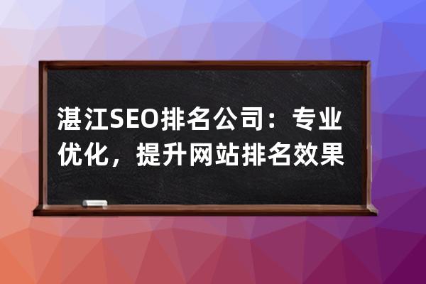 湛江SEO排名公司：專業優化，提升網站排名效果