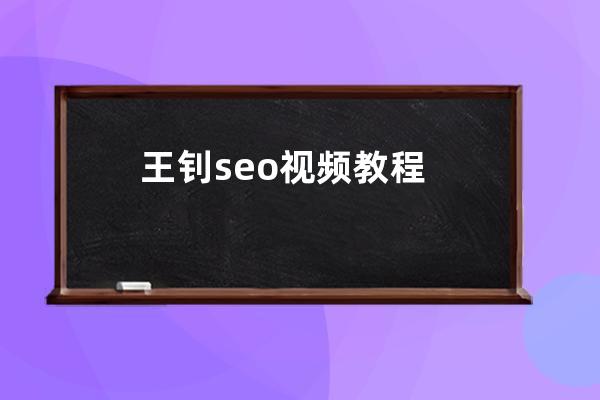 王釗seo視頻教程