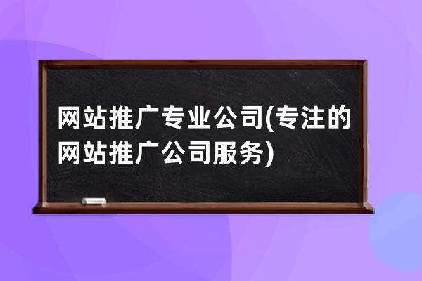 網站推廣專業公司(專注的網站推廣公司服務)