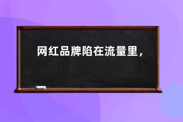 網(wǎng)紅品牌陷在流量里，出坑的關(guān)鍵是做品牌？ 