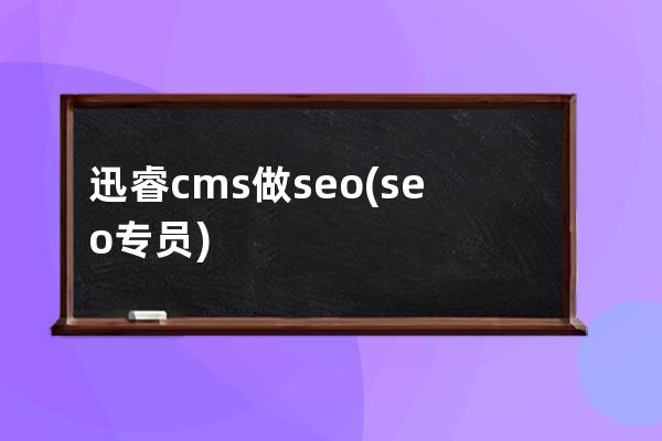 迅睿cms做seo(seo專員)