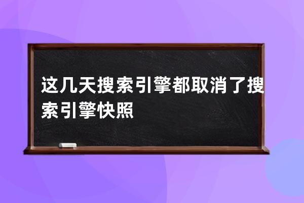 這幾天搜索引擎都取消了搜索引擎快照