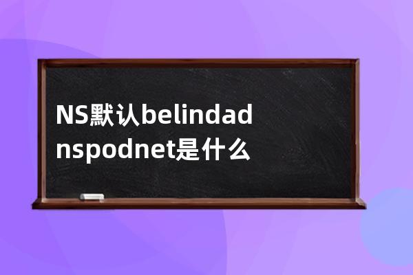  NS 默認 belinda.dnspod.net.是什么
