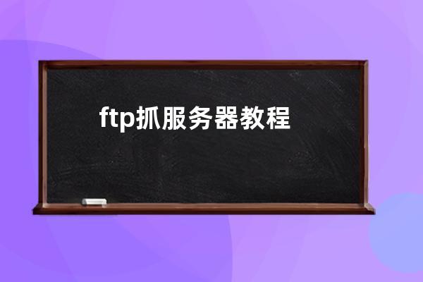 ftp抓服務器教程