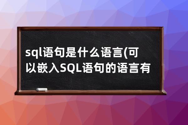 sql語句是什么語言(可以嵌入SQL語句的語言有)