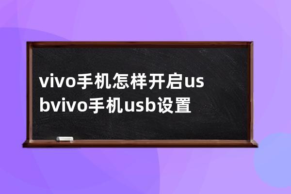 vivo手機怎樣開啟usb?vivo手機usb設置開啟方法介紹 