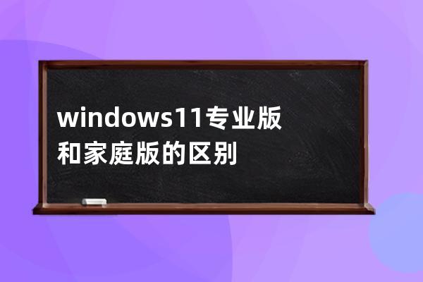 windows11專業(yè)版和家庭版的區(qū)別