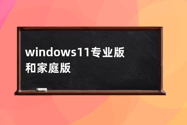 windows11專業版和家庭版的區別