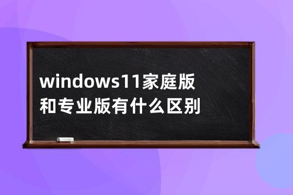 windows11家庭版和專業版有什么區別