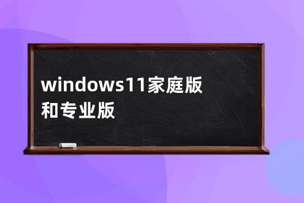 windows11家庭版和專業版有什么區別
